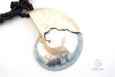 White Pearl Nautilus Shell Pendant in Half Cut Nautilus