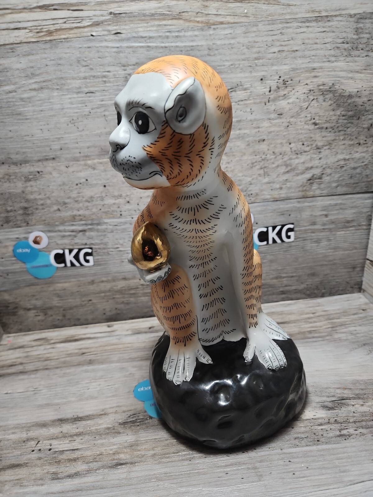 Bild 6 von 14