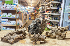 INDIVIDUAL PIECES & BUNDLES OF CORK BARK FOR VIVARIUM & AQUARIUM DECORATION