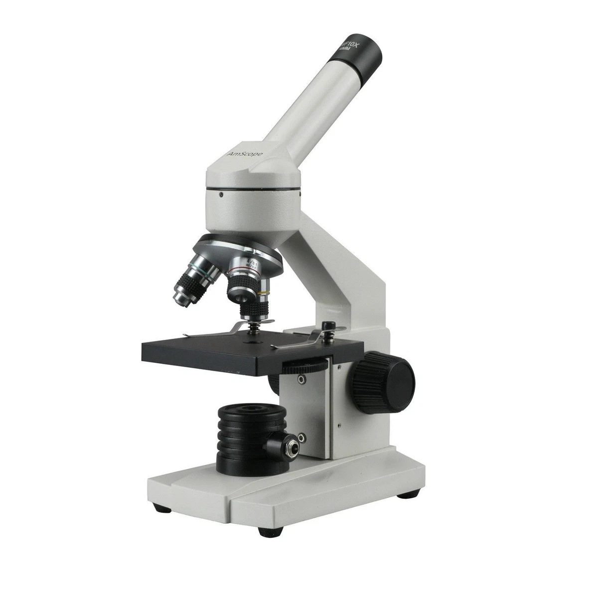 Compound Light Microscope