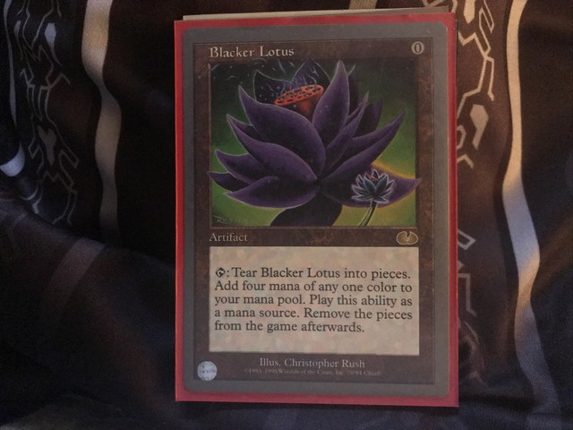 Blacker lotus ботания