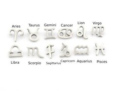 Horoscope Zodiac Symbols Pendant,Add on charm Beads Antique Silver Plated 4728