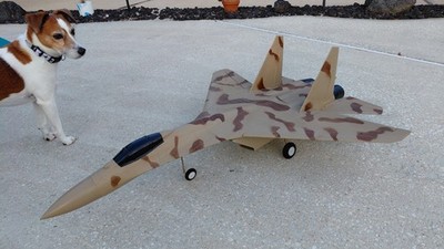 Art Tech SU-27 RC Jet Airplane 6EX Futaba (2)Cap 580 Flatouts Shock Flyer LOT!!!