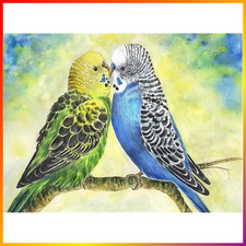 5D Diamond Painting Papagei 40x30cm Bastelset für Erwachsene