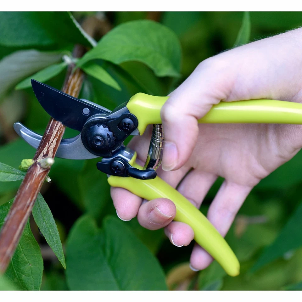 Burgon & Ball Micro Secateur - RHS Endorsed Green handle - Image 2 of 2