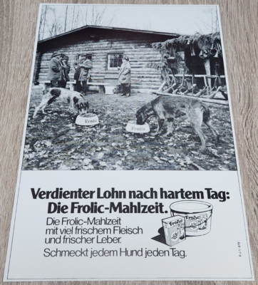 hundeleine türkis Wasserleine Hund Türkis – 3-fach verstellbar main image 0