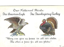 Thanksgiving National Birds Bald Eagle Turkey Tailfeather Display pc2073