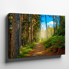 Sunlit Forest Trail Canvas Wall Art Nature Landscape Print for Wall Decor