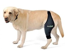 OrtoCanis XS Dog Knee Brace Right Hind Leg ACL Cruciate Ligament Injury Support