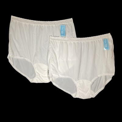 Dixie Belle Panty Women's Underwear Nylon Brief Full Coverage 2 Pack SZ 12 NWT
