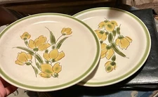 Vintage Stonybrook Stoneware By Japan Dinner Plates (2) Oven To Table Excellent