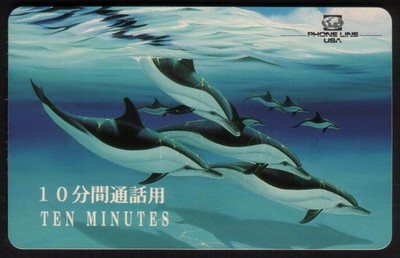 10m ($20.) Many 'Dolphins Underwater' Nice Card - JAPANESE Reverse Phone Card