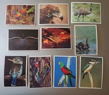 1993 Weet Bix cards AUSTRALIA'S MOST AMAZING BIRDS Lot Of 10