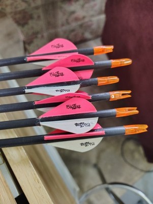 6 Beman ICS Hunter 500 Carbon  Arrows Blazer Vanes  50# NEW