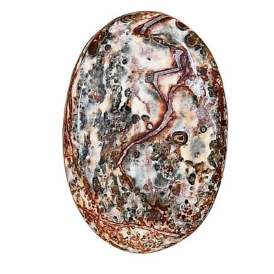 Natural Leopard Skin Jasper 28.75x19.6x5 mm Oval Polished Gemstone LS02013-30