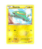 Pokemon - Electrike - 24/108 - XY Roaring Skies - Reverse Holo. - NM/M