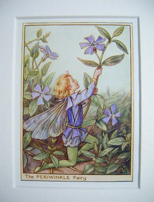 Vintage Flower Fairies Print & Mount The Periwinkle Fairy Cicely Barker c1930's 