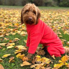 Warm Four Legged Dog Fleece - Available in Five Sizes & Five Colours