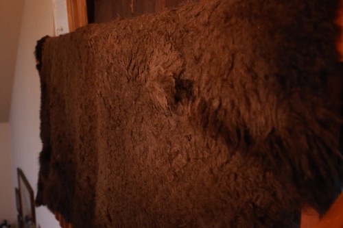 Buffalo Hide Rug, 'Large' Premium Winter Coat Tanned Bison Rug, Made In The USA