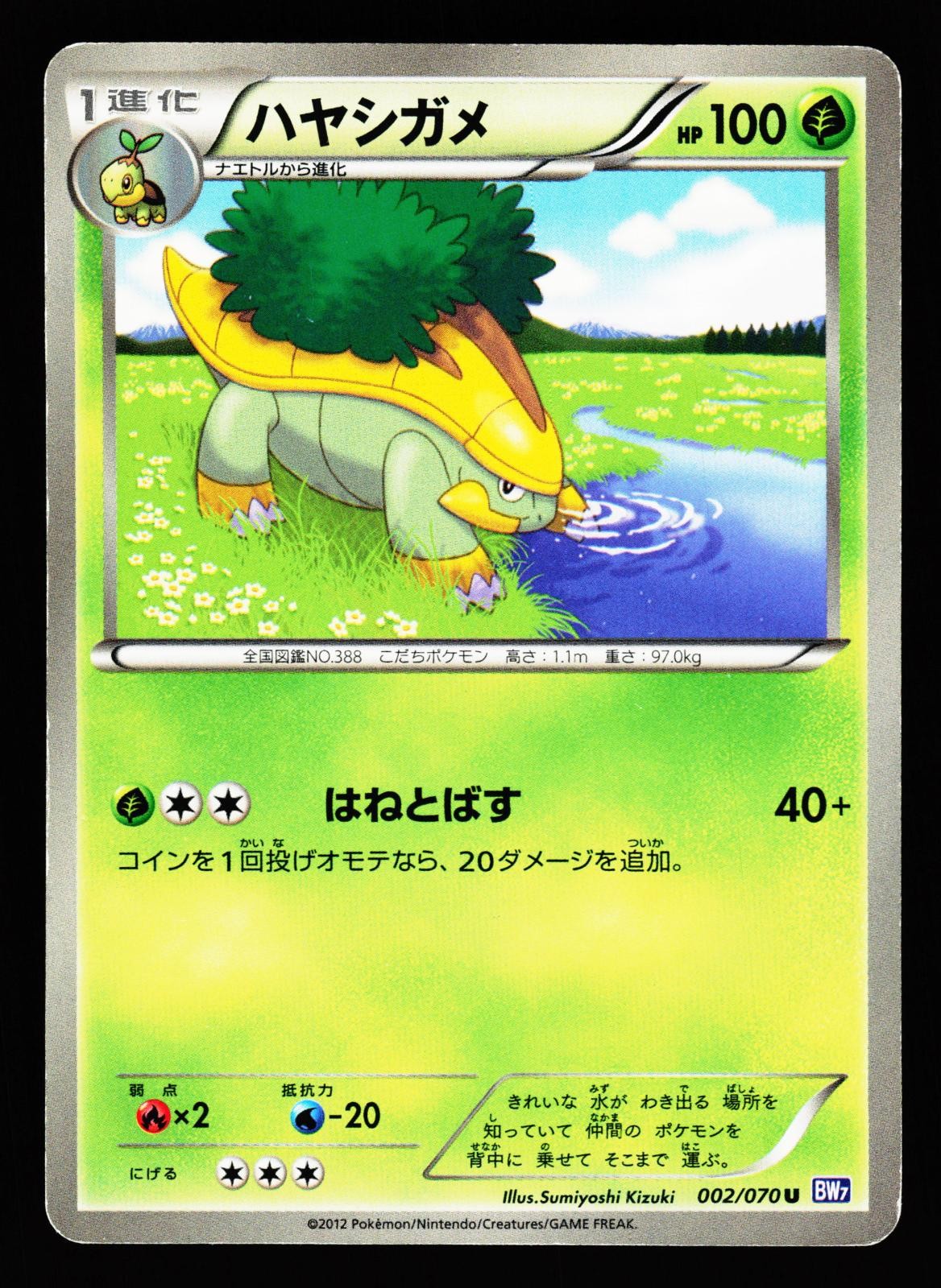 Grotle 002/070 Uncommon Plasma Gale BW7 2012 Pokemon Japanese Moderately Played