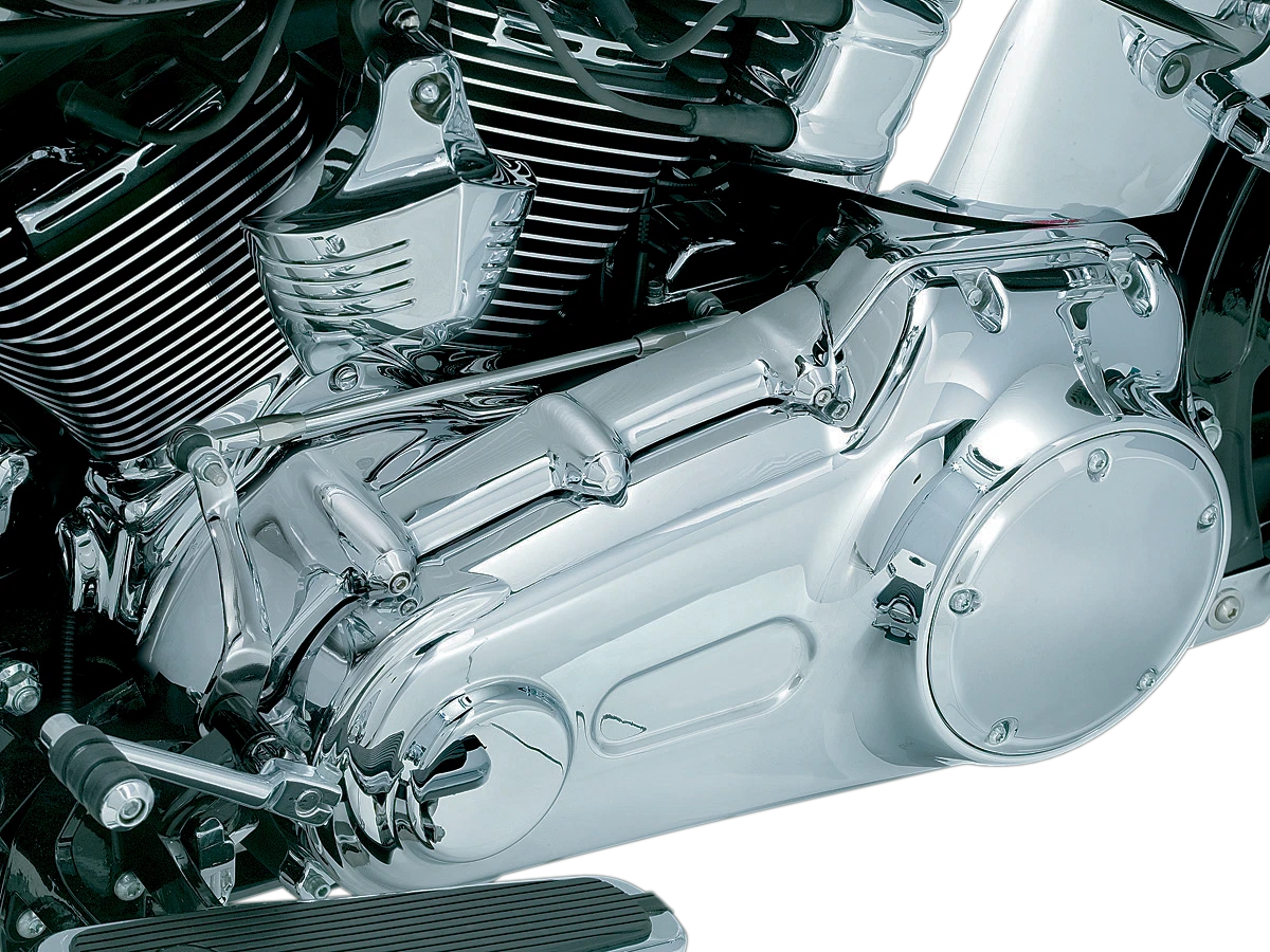 Softail slim 2024 primary cover