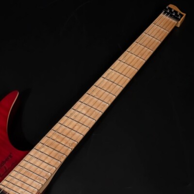 Strandberg Boden Standard NX 6 Tremolo Red Electric Guitar w/Gig