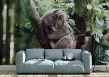 3D Sleeping Koala Wallpaper Wall Mural Removable Self-adhesive 2450