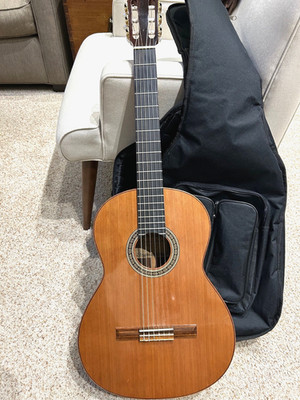 Spanish Classical Guitar, case, tunner and capo