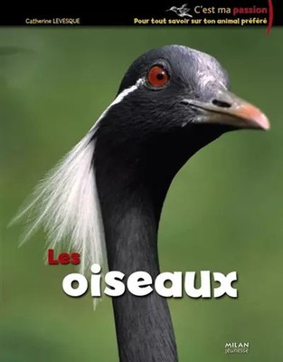 Vögel (les), Jean Grosson, Amandine Labarre und Catherine Levesque
