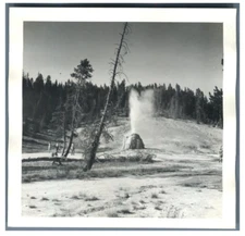 USA, Lone Star Geyser Vintage Print.  Circa 9x9 Silver Print