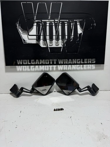 97-02 Jeep TJ Wrangler Driver & Passenger Outer Side Mirror Sideview PAIR OEM QH