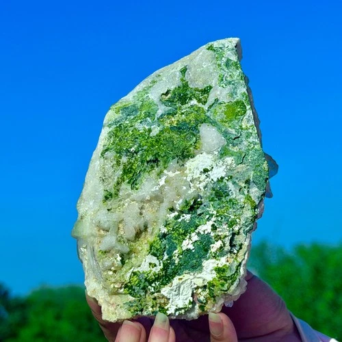 1.63LB Rare!! Natural Clear Crystal with Epidote Garden Quartz Cluster Specimen