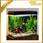 20 Gallon Glass Fish Tank Aquarium Starter Kit with Self-Cleaning Filter LED