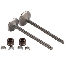 Ventil Schaftdichtungen Set f&uuml;r Honda SH S-Wing Pantheon FES 125 150 4T 2001-12
