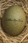 10+ Olive Egger (will Hatch Black Or Ermine Colored) Hatching Eggs NPIP — photo 1