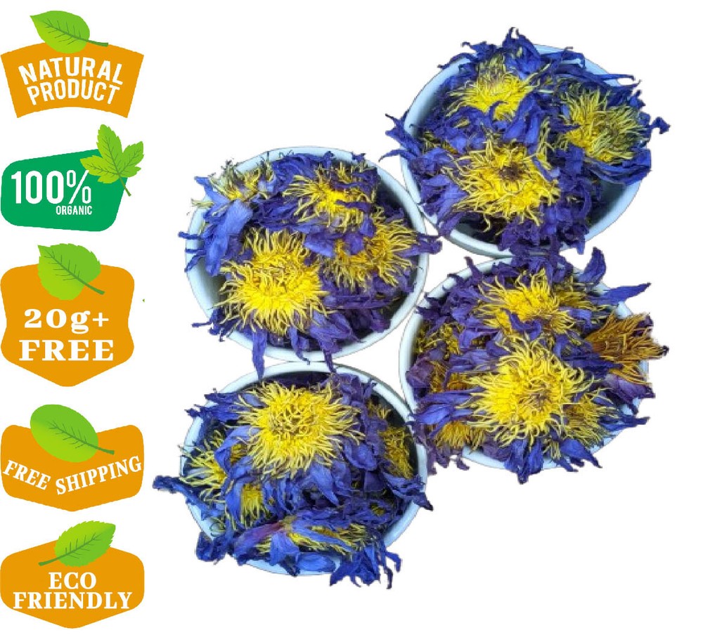 Dried Blue Lotus Flower Nymphaea Caerulea Natural Hand Picked Flowers Herbal Tea
