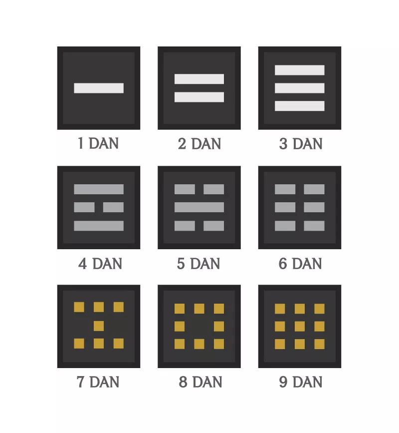 3 dan cheap black belt