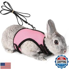 Pettom Bunny Rabbit Harness with Stretchy Leash Cute Adjustable Buckle Breath