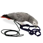 THE AVIATOR PARROT HARNESS & LEASH - MEDIUM - RED