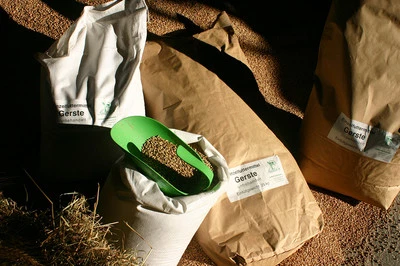 Gerste (0,84 €/kg) Futter GVO-frei 25kg eig. Ernte ´23 Geflügel Nager Fischzucht