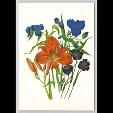 Vintage Postcard Flowers 1993 Unposted Garden Botanical Scenic Collectible View