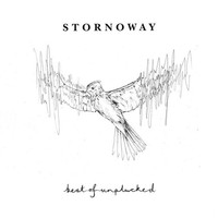 Stornoway: Best Of Unplucked (Random Colored) - 375 Media - (Lp / B)
