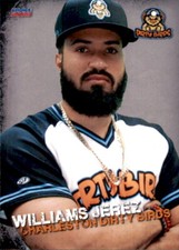 2023 Charleston Dirty Birds Choice #11 Williams Jerez Dominican Republic DR Card