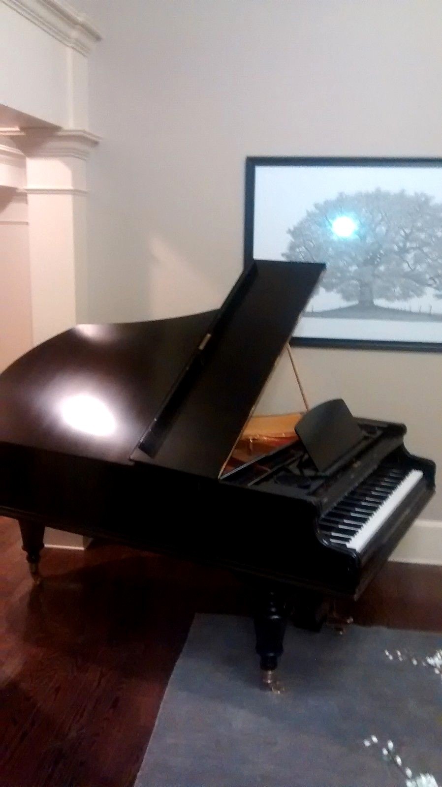 Art case Bosendorfer, beautiful sounding grand piano & Steinway key felt cover. s l1600 - Art case Bosendorfer, beautiful sounding grand piano & Steinway key felt cover.