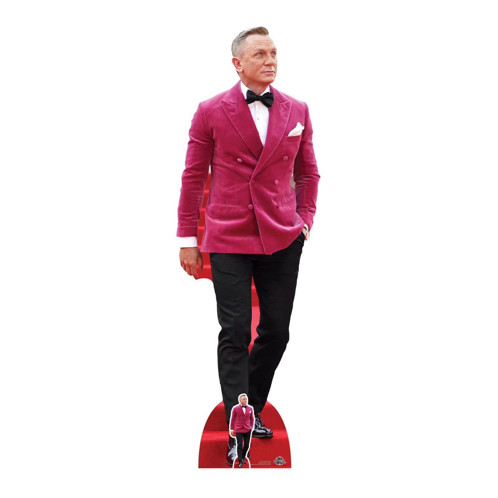 Daniel Craig Pink Jacket Lifesize Cardboard Cutout / Standee with FREE Mini