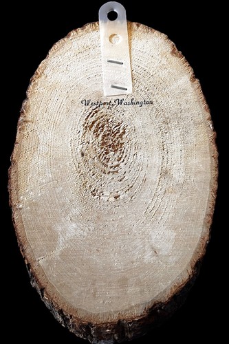 Vintage - Wood Slab with "MOTHER Poem" & Roses 9" x 5.5" x 1.25" Westport, WA - Picture 3 of 4