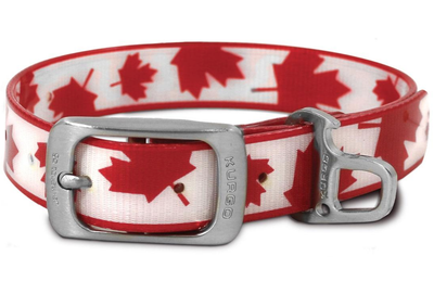muck dog collar