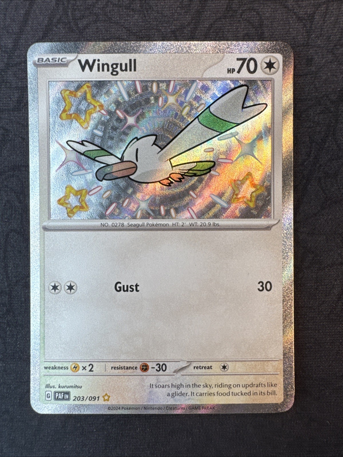 Wingull 203/091 SV: Paldean Fates Holo Pokemon