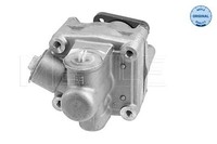 Meyle Hydraulikpumpe Lenkung 114 631 0031 FüR Passat Vw A4 Audi 8D2 8D5 3B2 B5