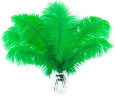 Green Large Ostrich Feathers - 15 pcs 12-14inch Craft Feathers for Gatsby Wed...